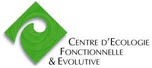 logo-cefe