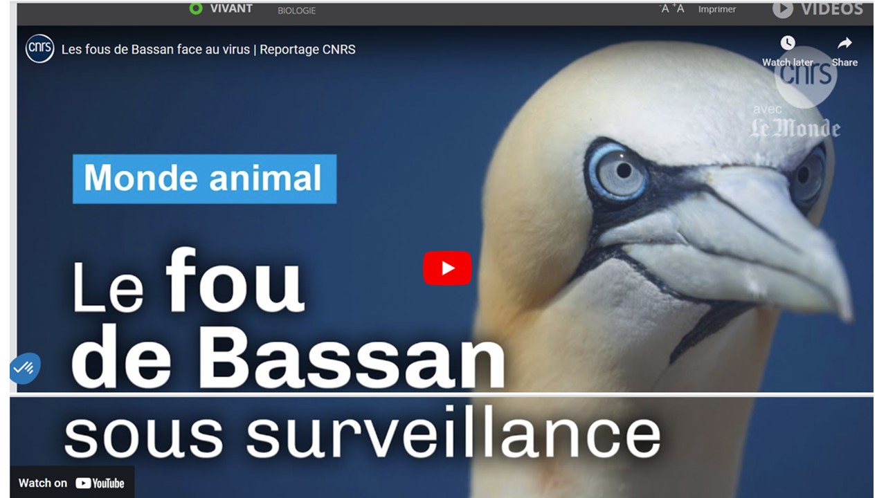 Film_CNRS_Images_Fous_et_IAHP