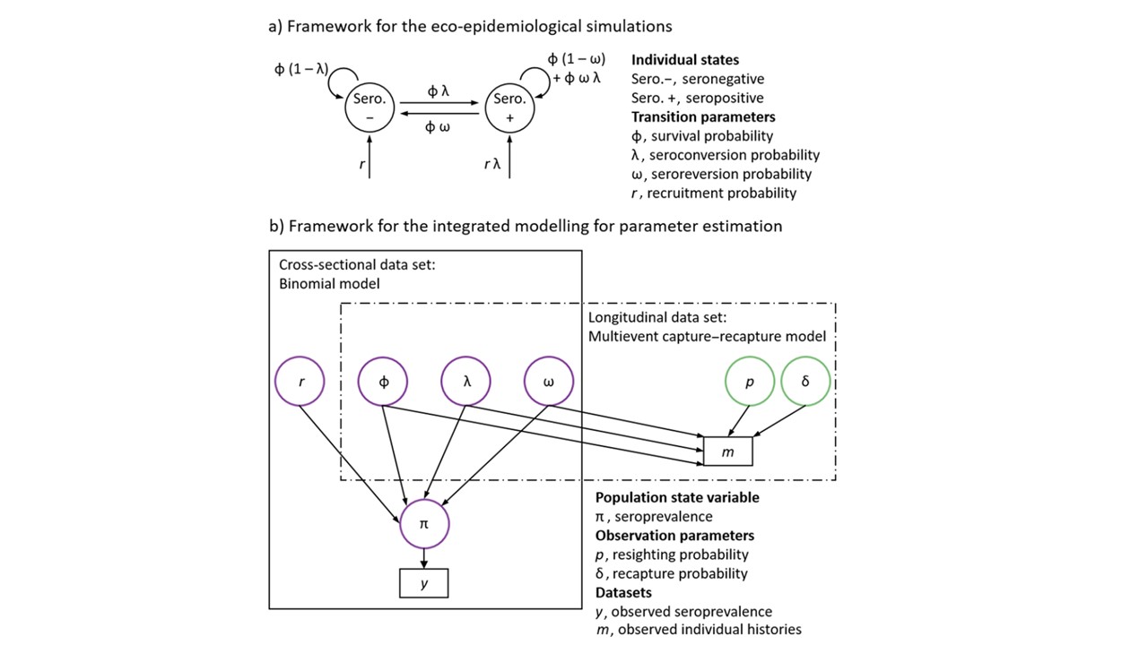 Gamble_Ecology_Figure_integrative_approach